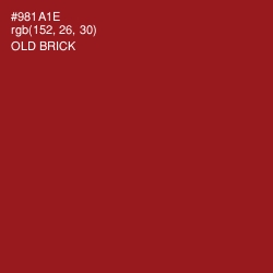 #981A1E - Old Brick Color Image